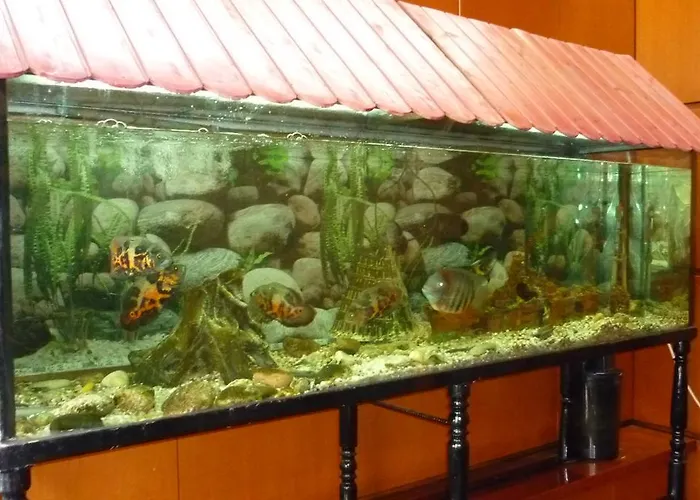 فندق Francisco Javier *