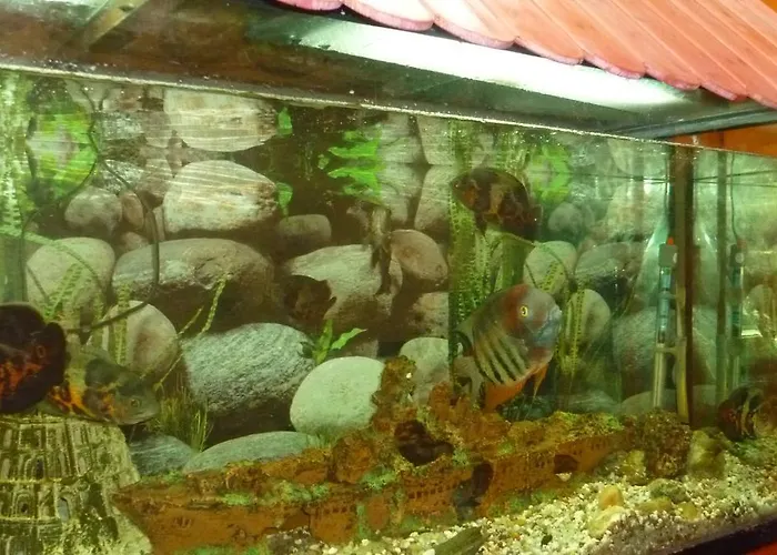 Hotel Francisco Javier A Coruña