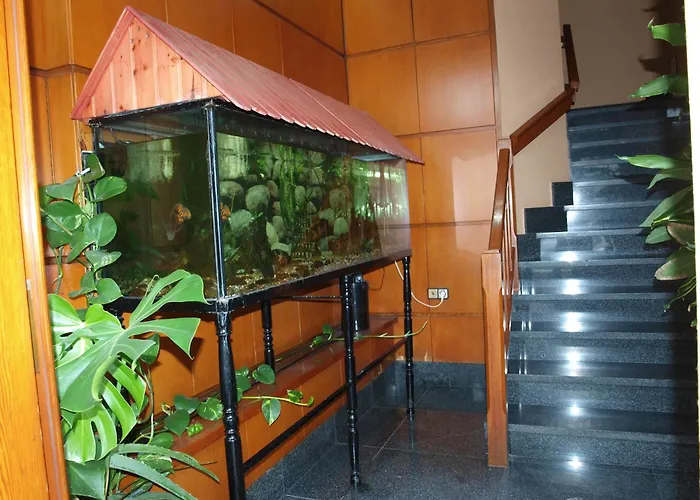 فندق Francisco Javier